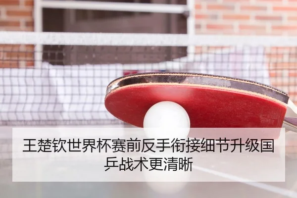王楚钦世界杯赛前反手衔接细节升级国乒战术更清晰 - YIANGSPORTS
